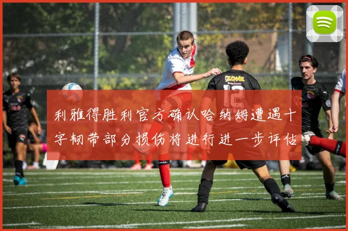 利雅得胜利官方确认哈纳姆遭遇十字韧带部分损伤将进行进一步评估