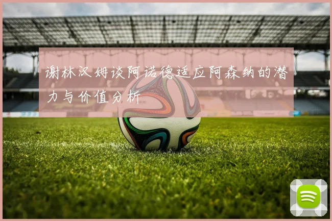 谢林汉姆谈阿诺德适应阿森纳的潜力与价值分析